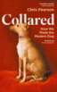 Collared: How We Made the Modern Dog image