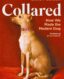 Collared: How We Made the Modern Dog thumb image